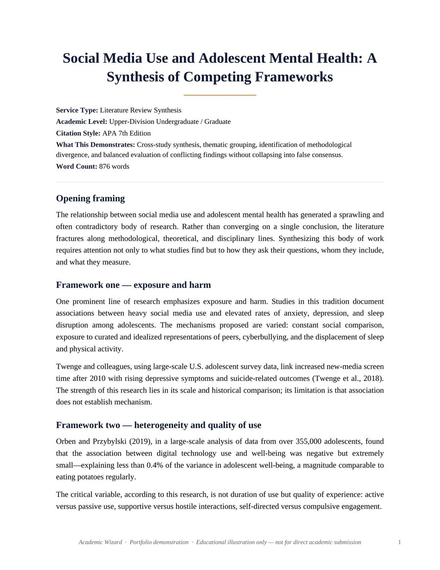 Literature Review Synthesis sample preview